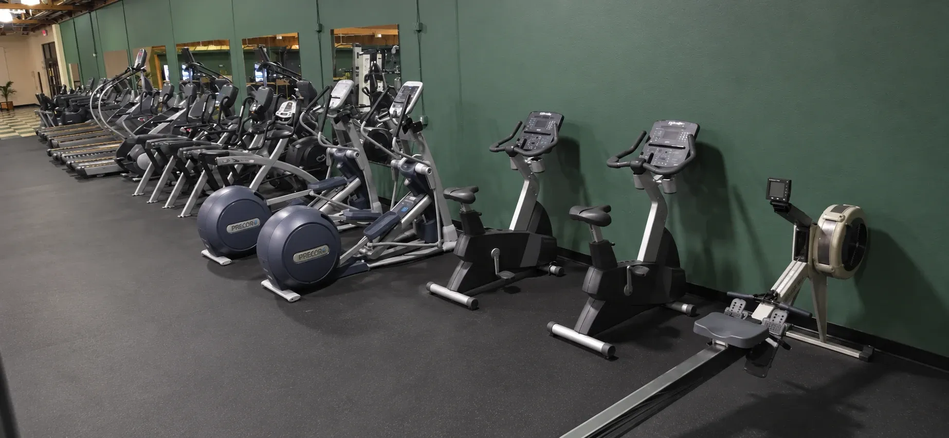 Treadmills, ellipticals, bikes, and a rowing machine