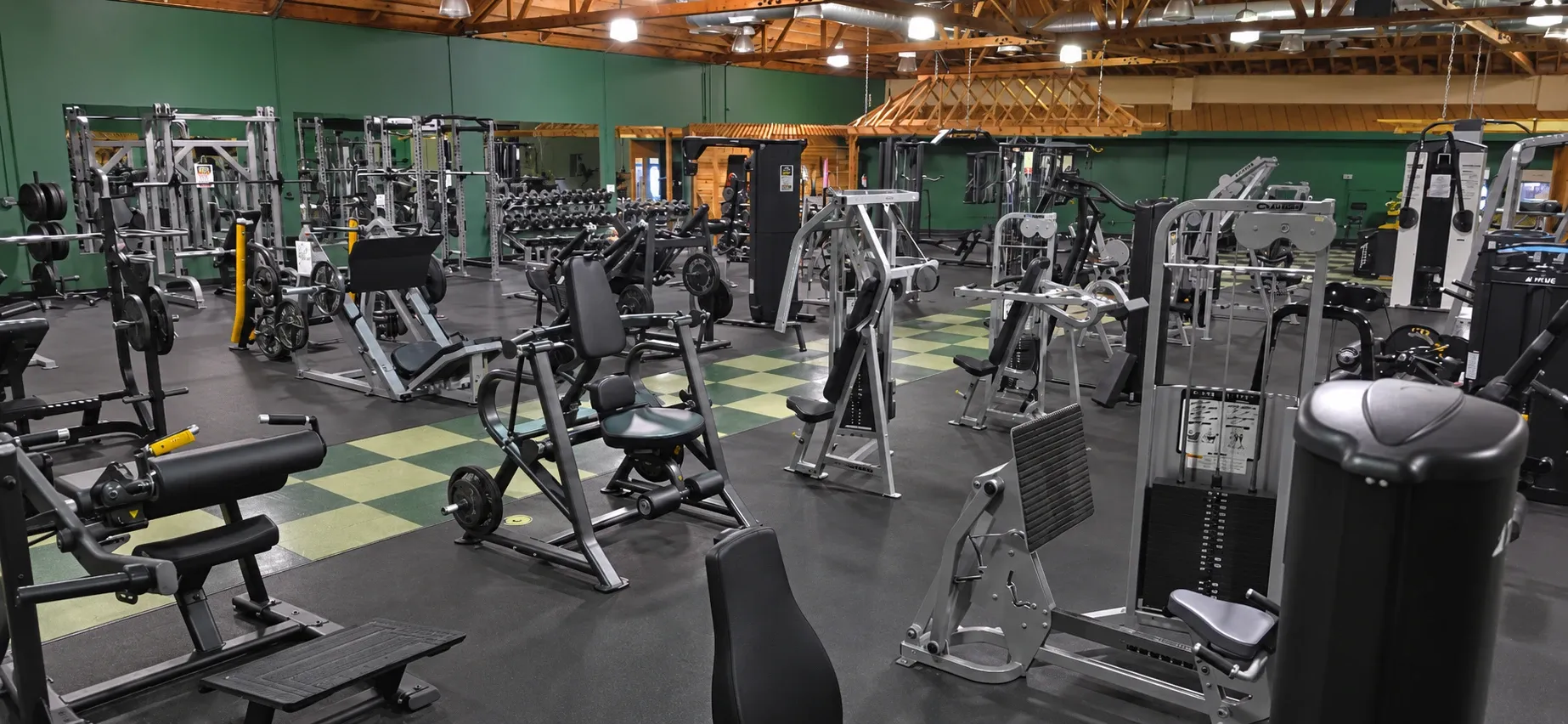 Strength machines, free weights, and open training space at Paradise Fitness