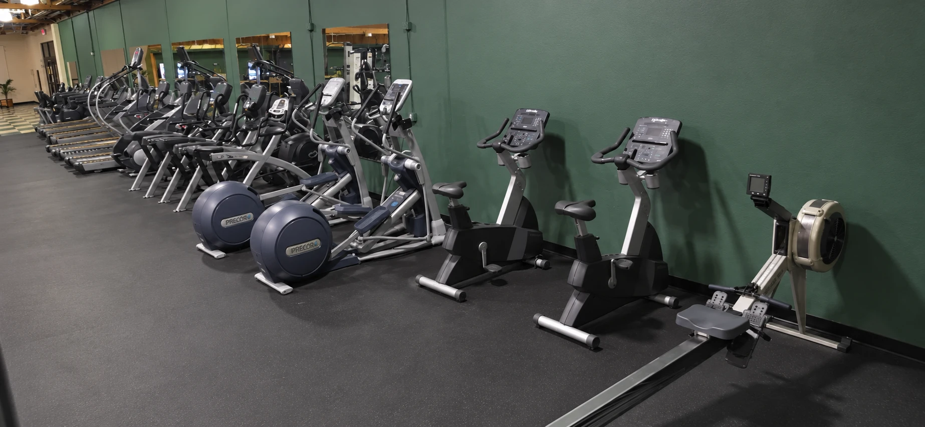 Treadmills, ellipticals, bikes, and a rowing machine